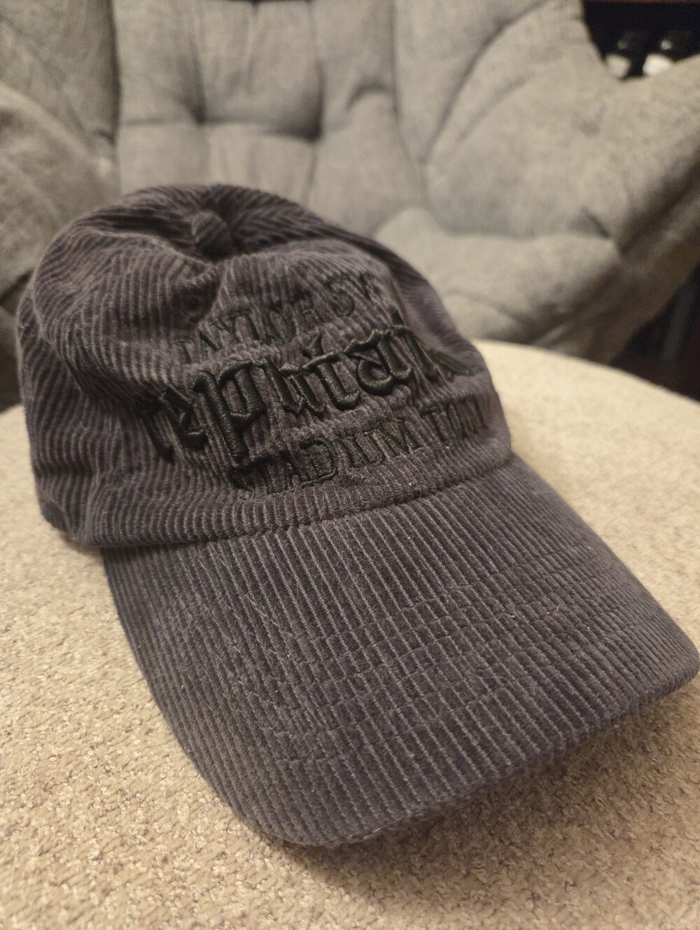 Taylor Swift Reputation Hat